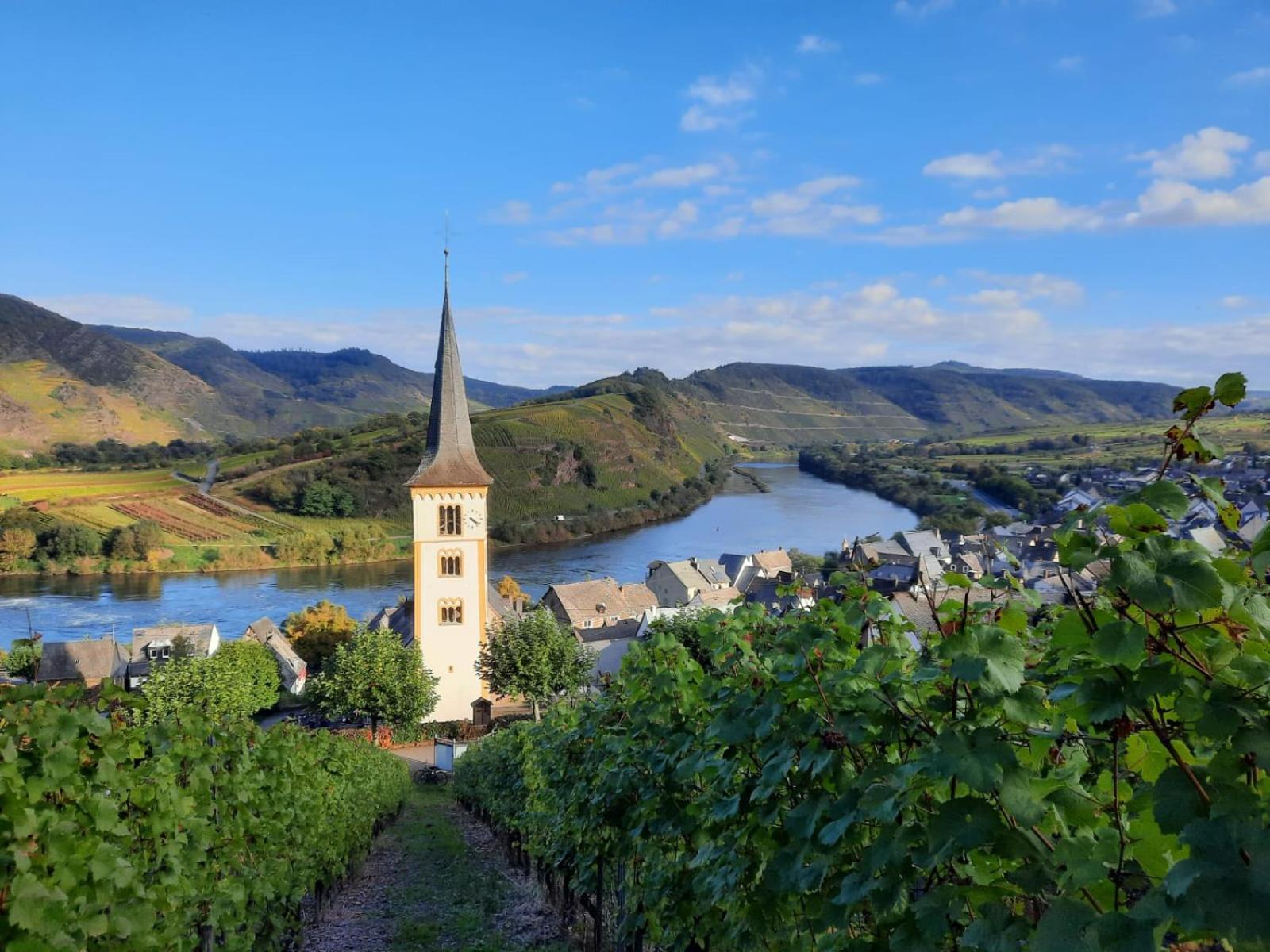 Winzerhaus Schenk Διαμέρισμα Neef Εξωτερικό φωτογραφία