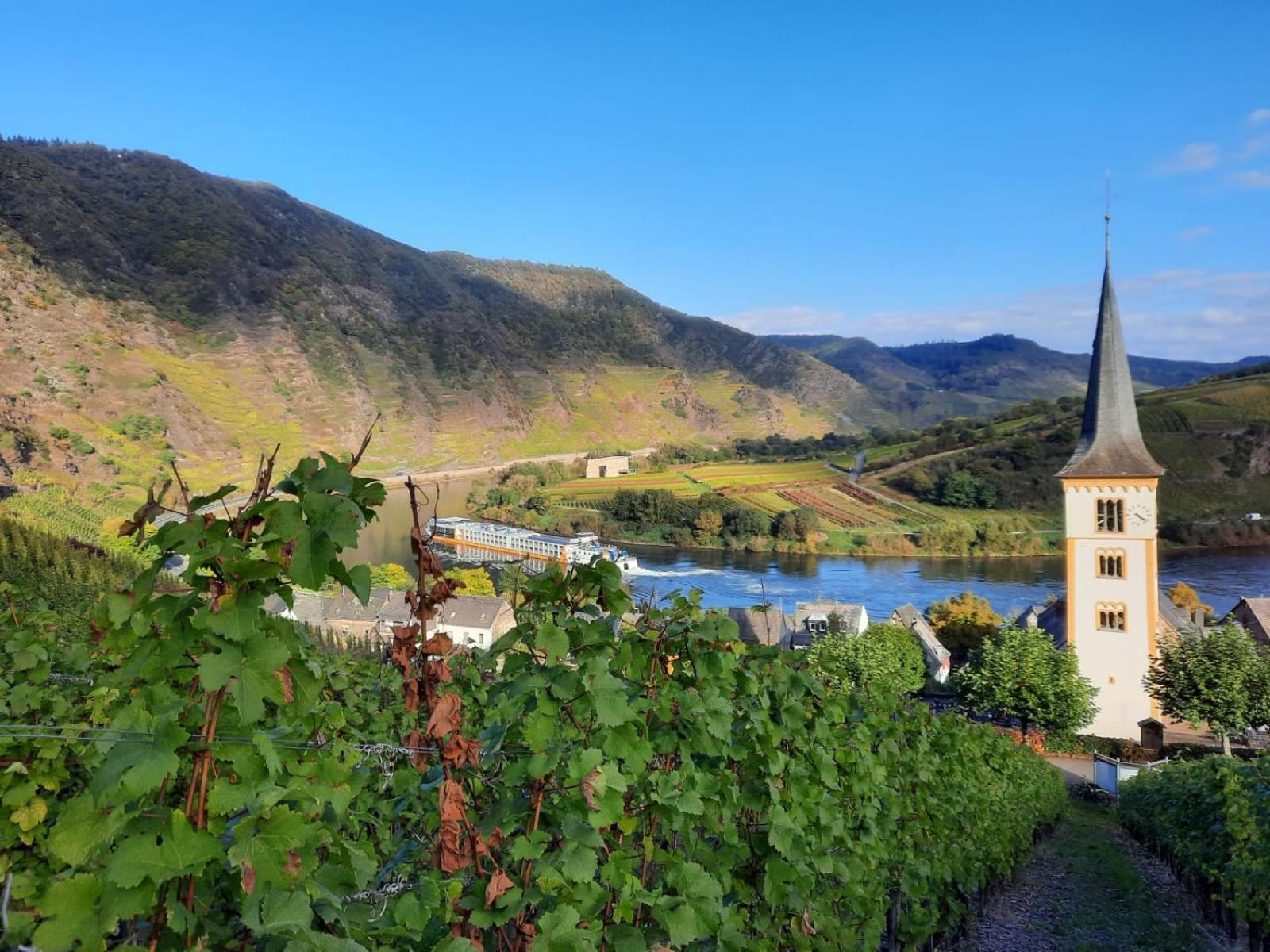Winzerhaus Schenk Διαμέρισμα Neef Εξωτερικό φωτογραφία